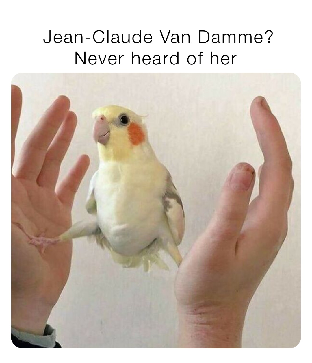 Jean-Claude Van Damme? Never heard of her