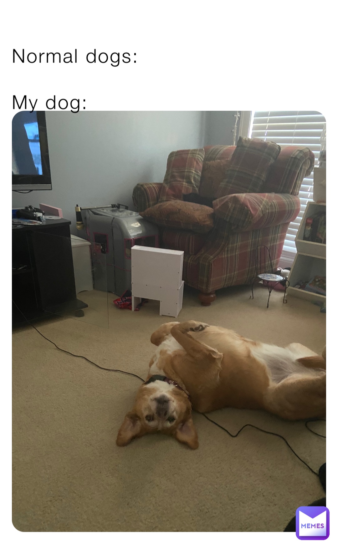 Meme by memer_boy5505