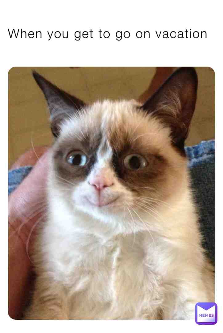 Meme shared by @Duck_finder