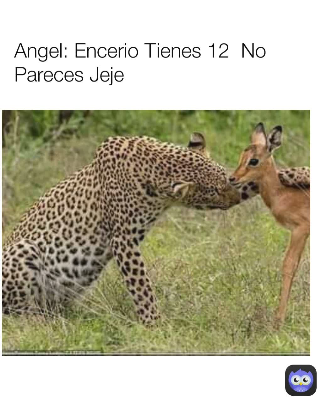 Angel: Encerio Tienes 12  No Pareces Jeje