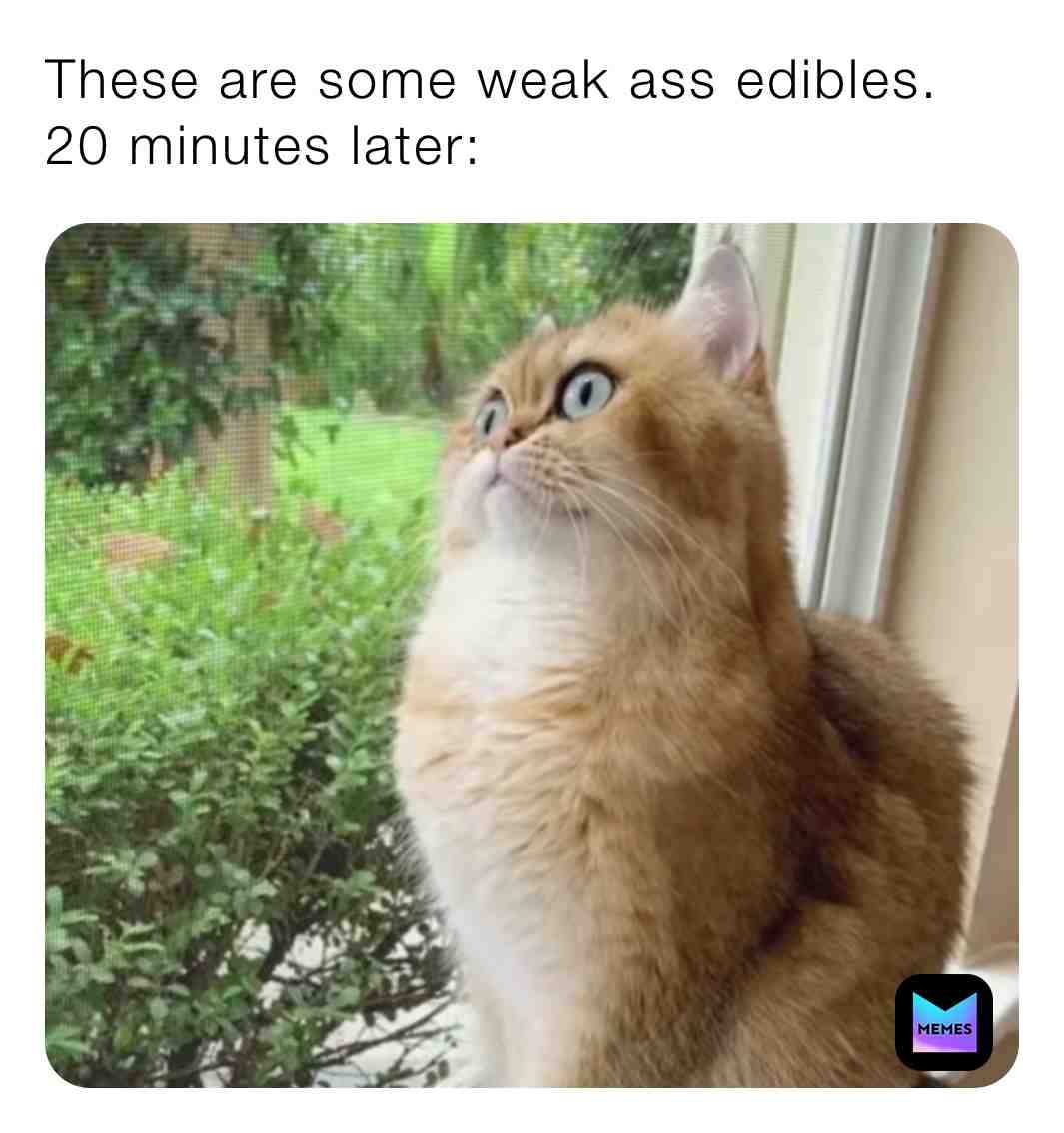 Meme shared by @theadjectivenoun