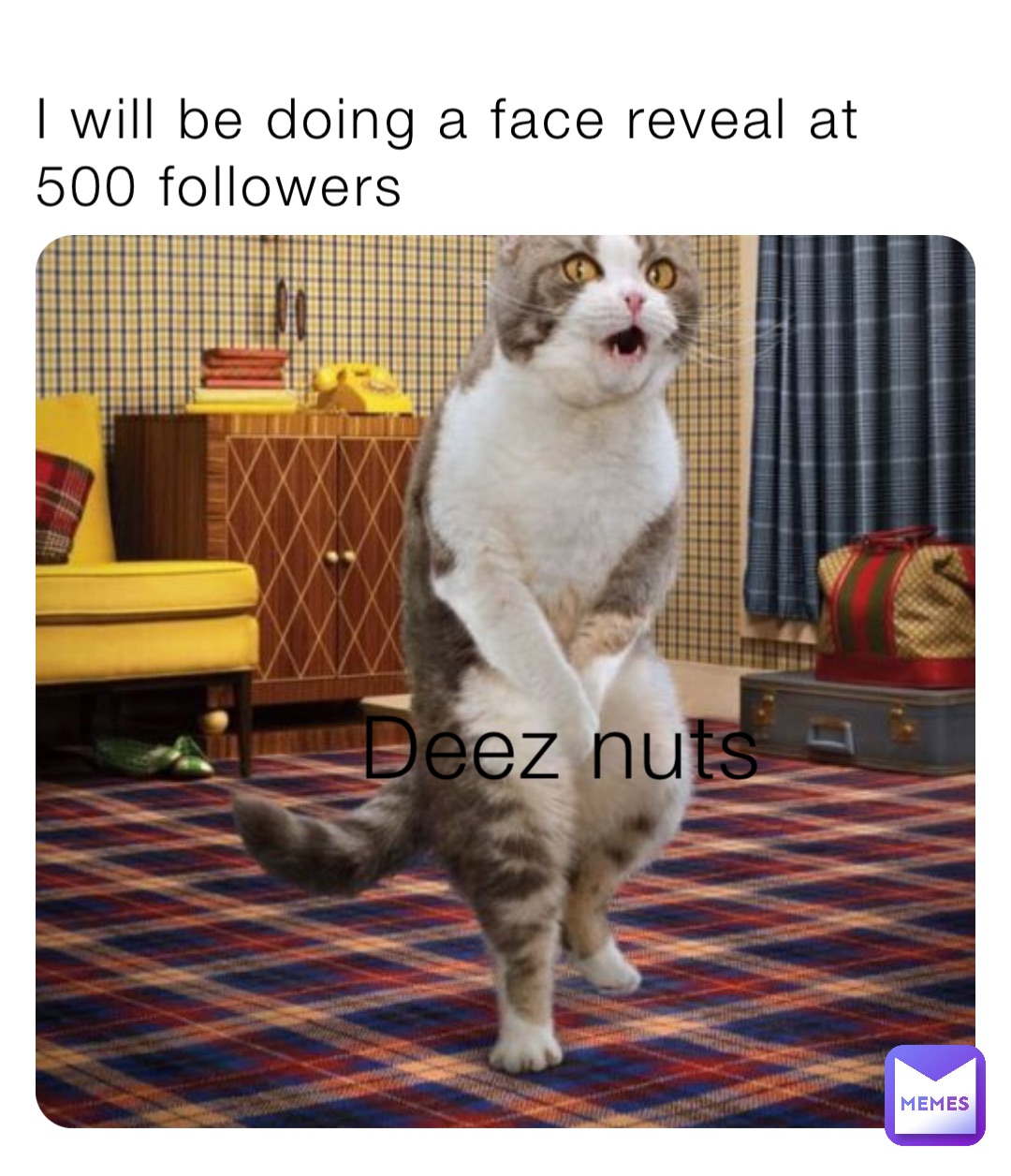 I will be doing a face reveal at 500 followers Deez nuts