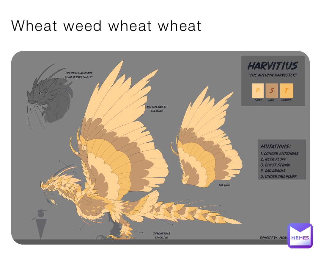 Wheat weed wheat wheat