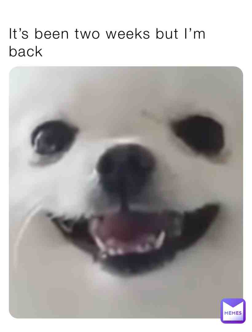 Meme shared by @Inactive_acc