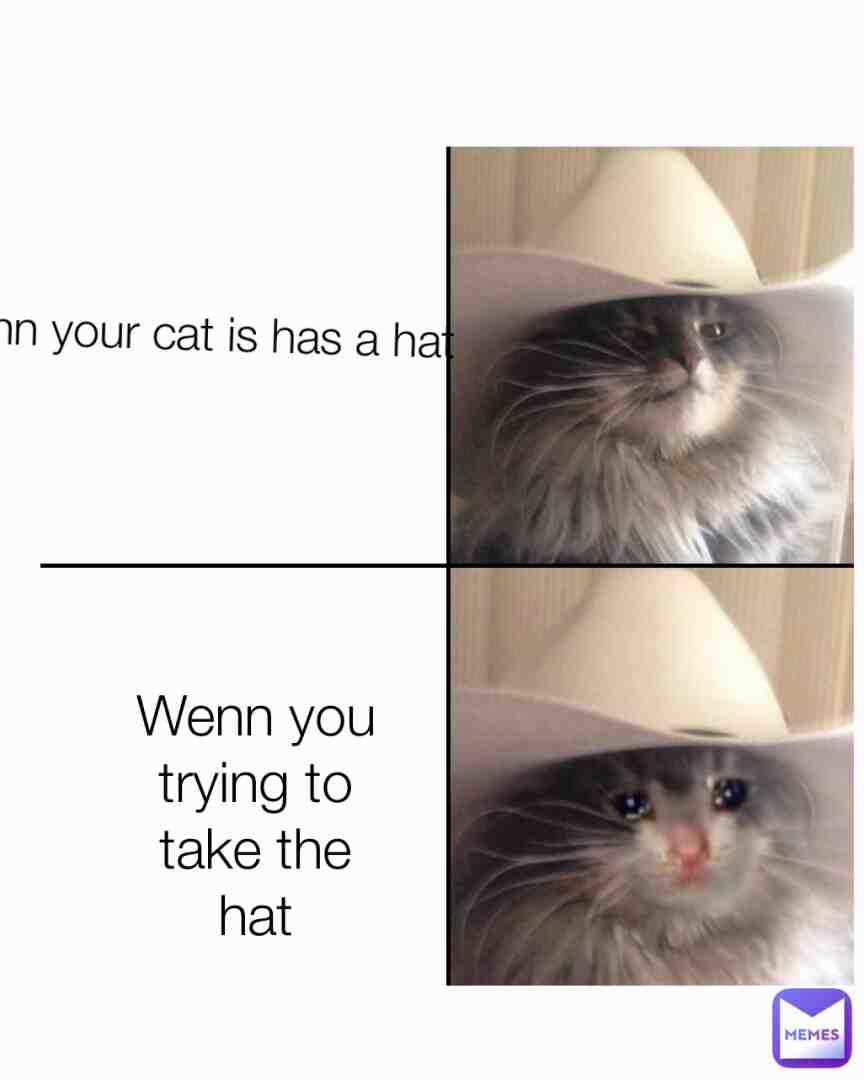 Silly me