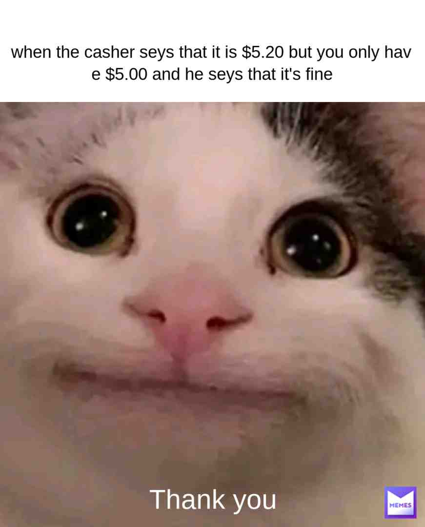#catmeme #pleaselike #pleasecomment