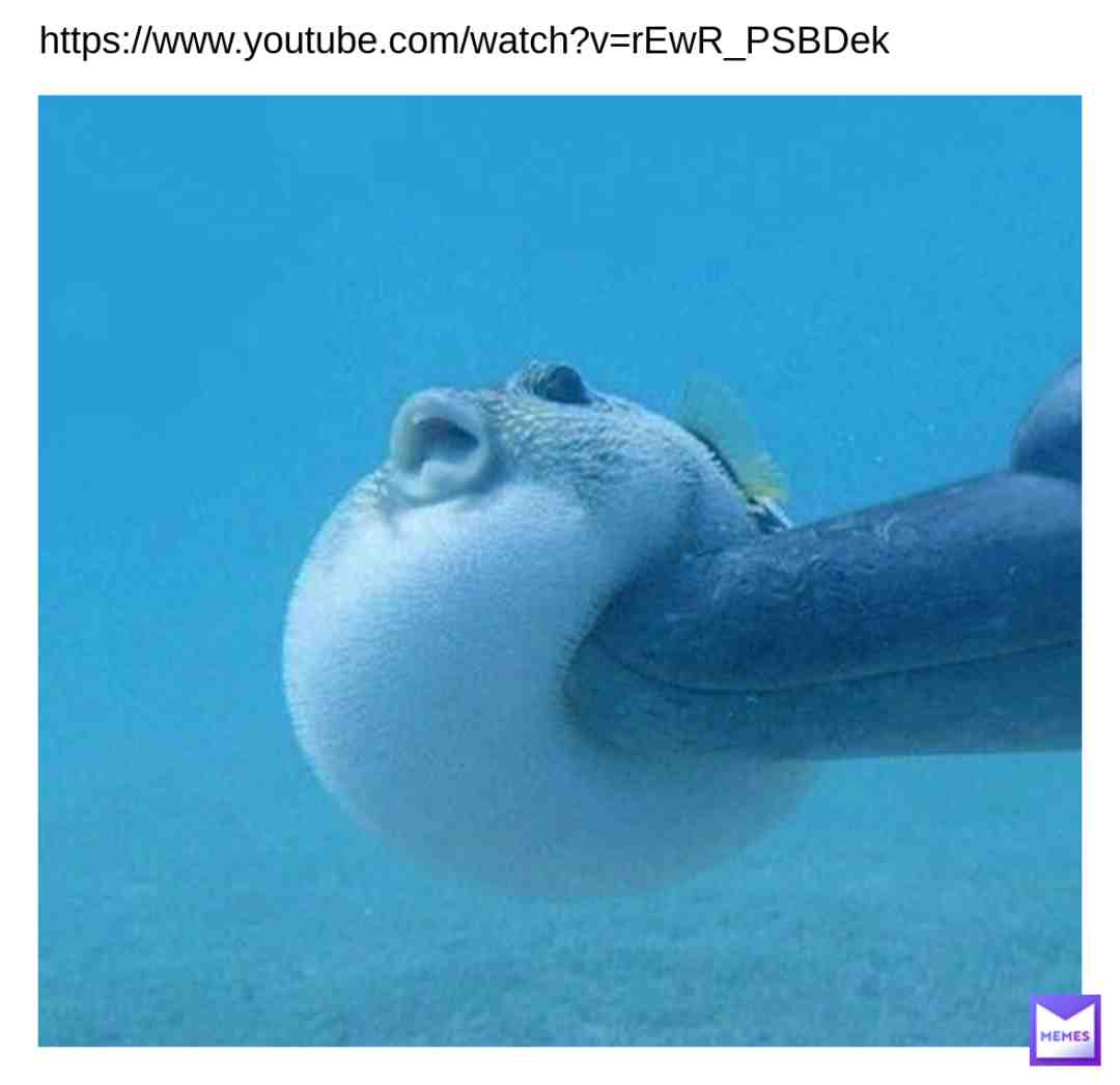 #pufferfishrave