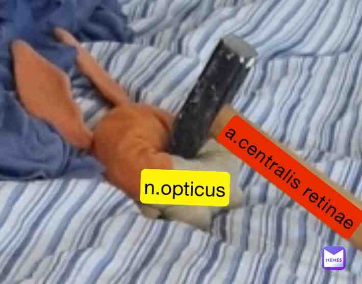 Meme shared by @arnehallohallo