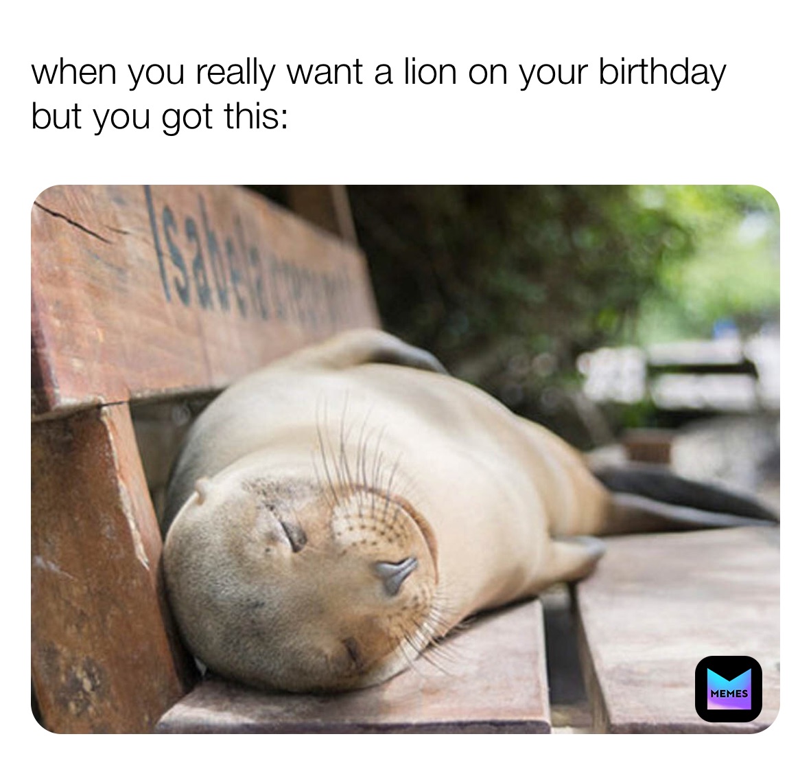 Meme by facts_and_curious