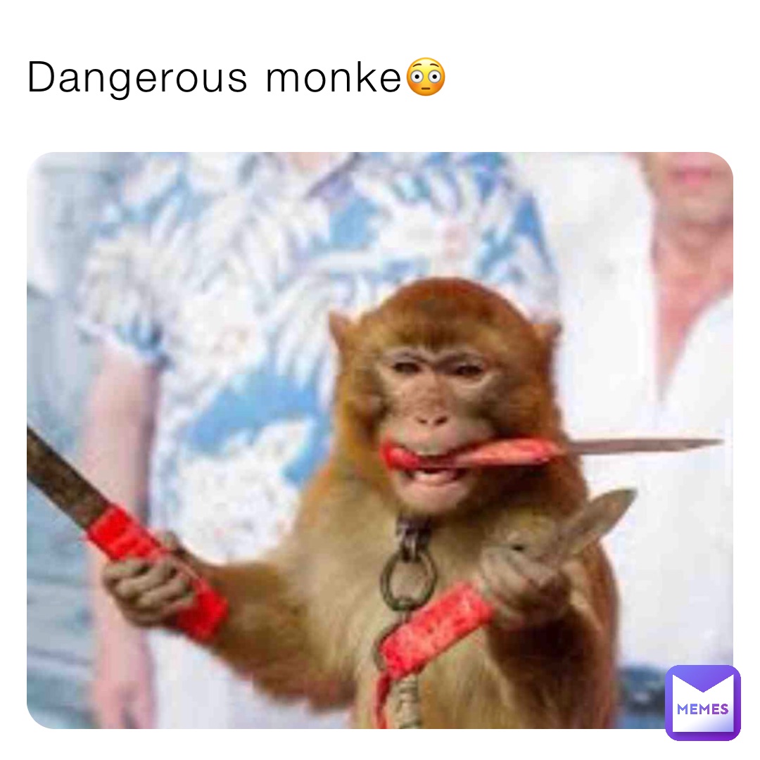 Dangerous monke😳