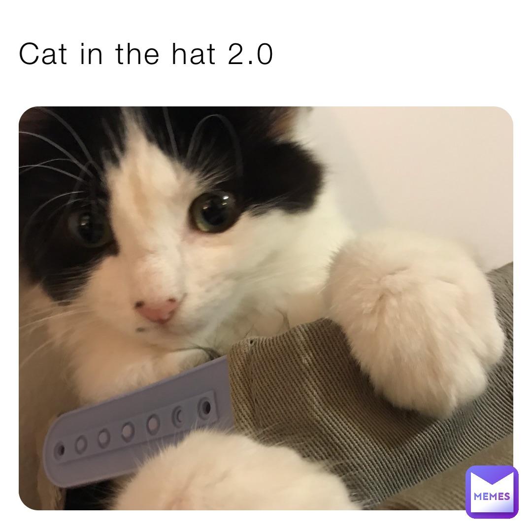 Cat in the hat 2.0