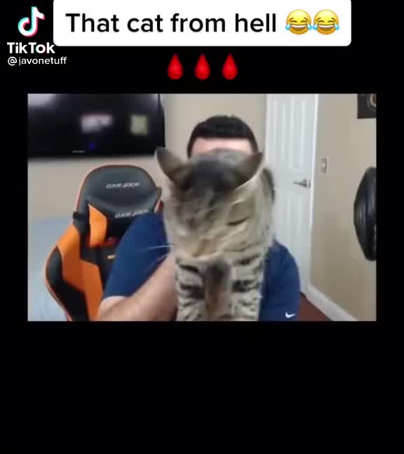 Meme shared by @Memes2908