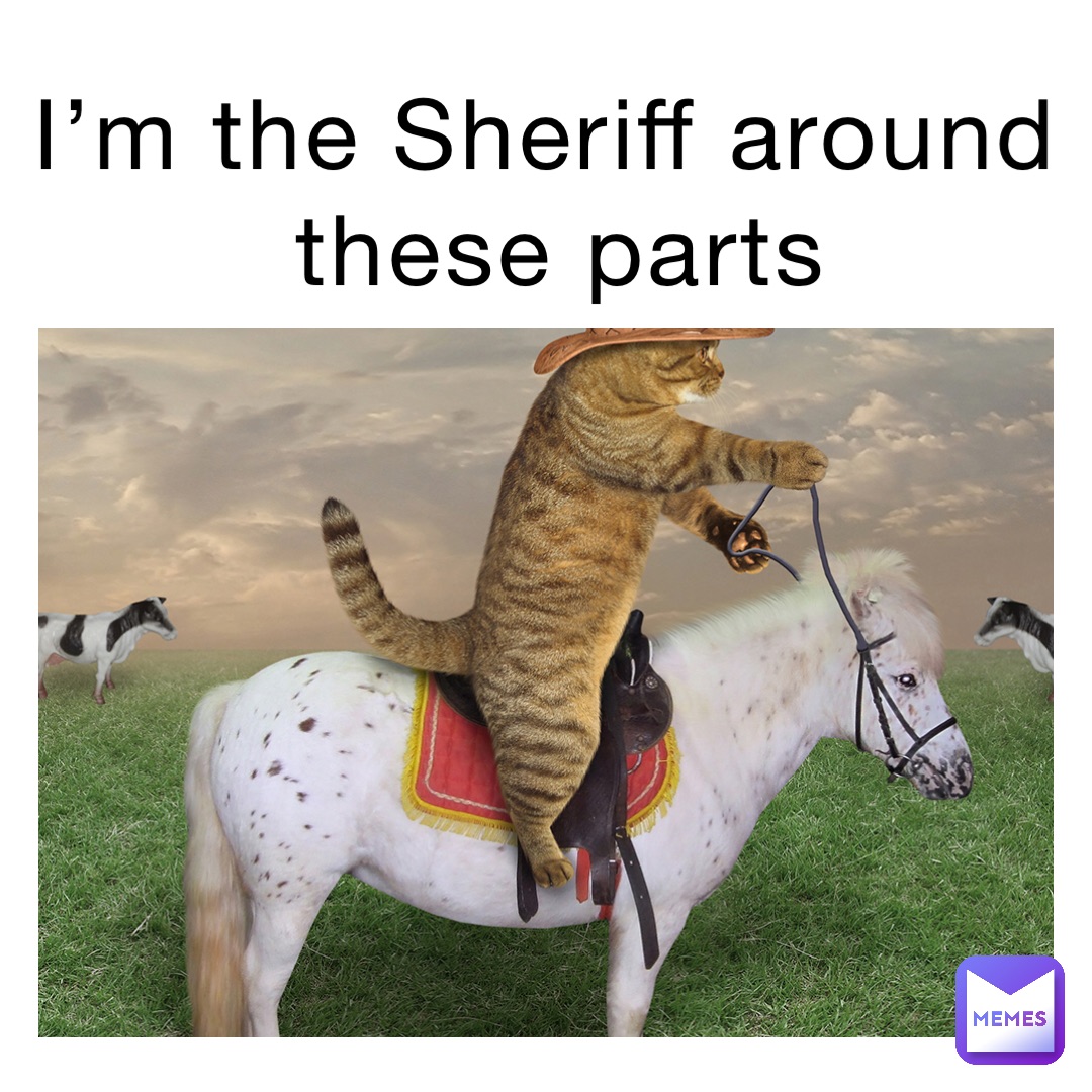 I’m the Sheriff around
 these parts