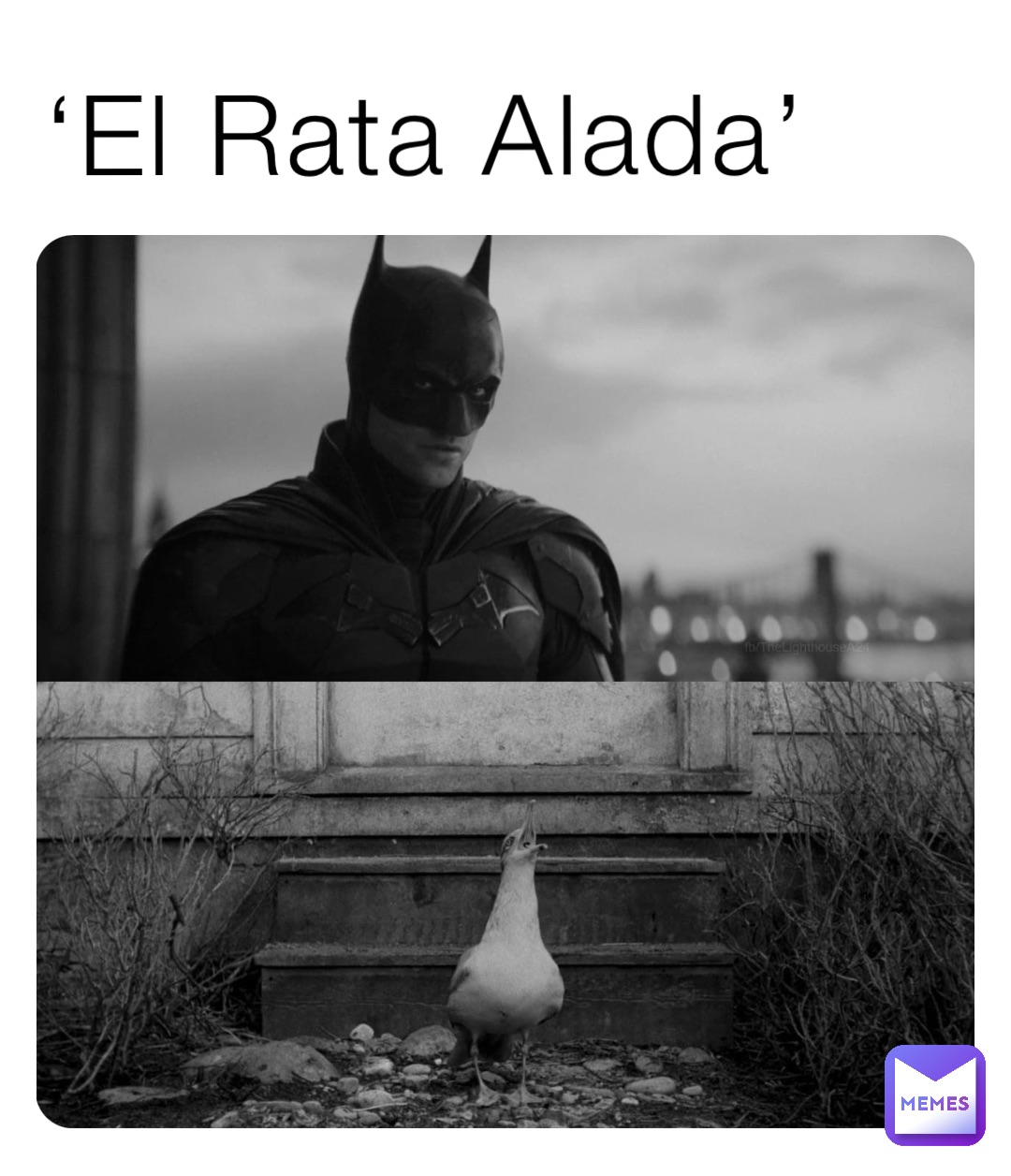 ‘El Rata Alada’