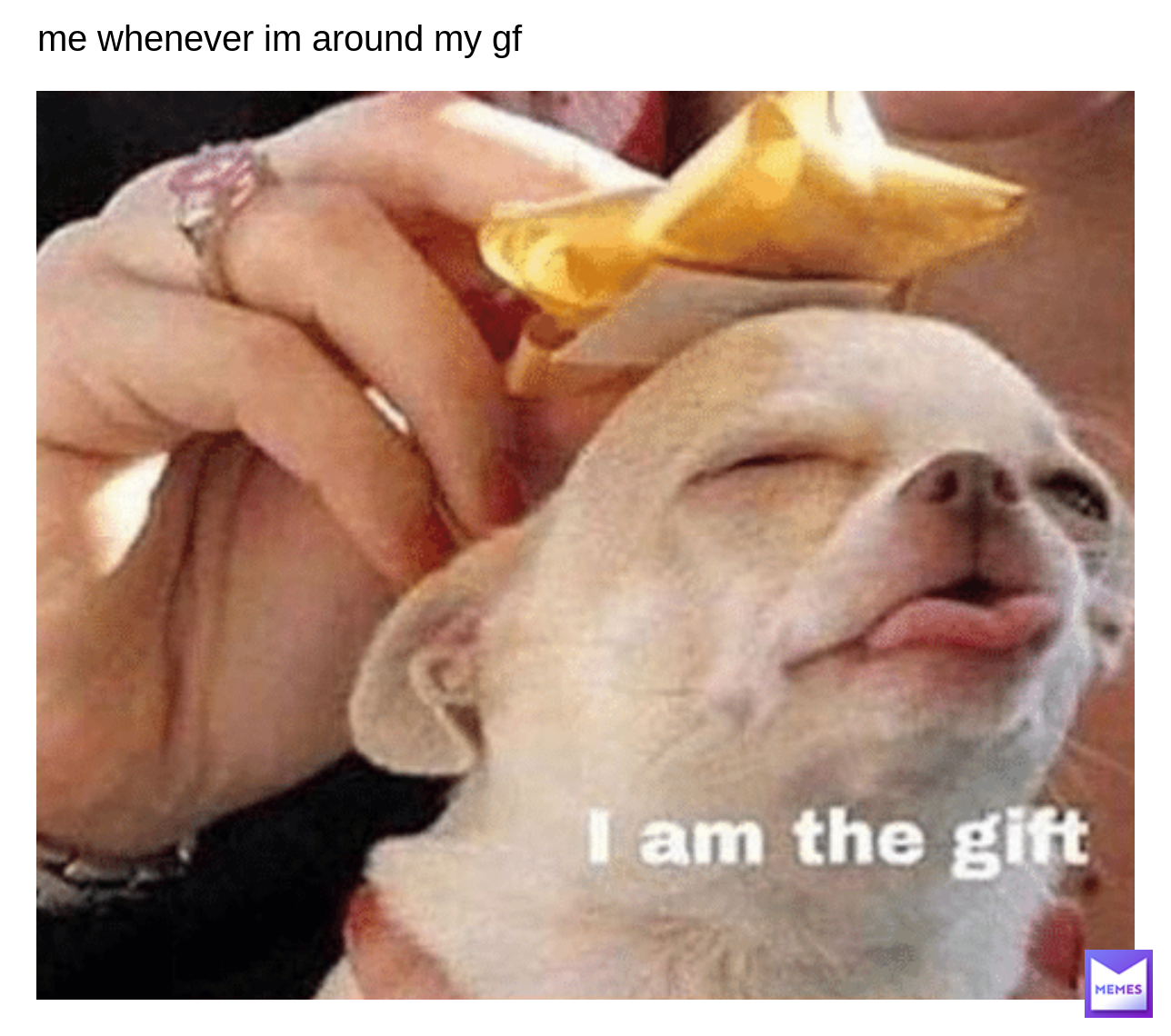 Meme by Aidan_thememegod