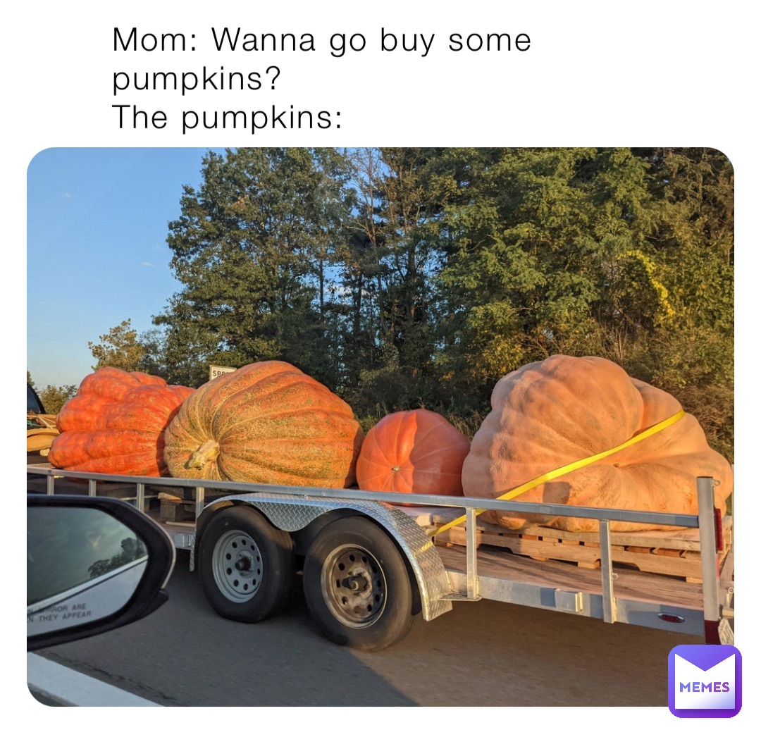 Mom: Wanna go buy some pumpkins? 
The pumpkins: