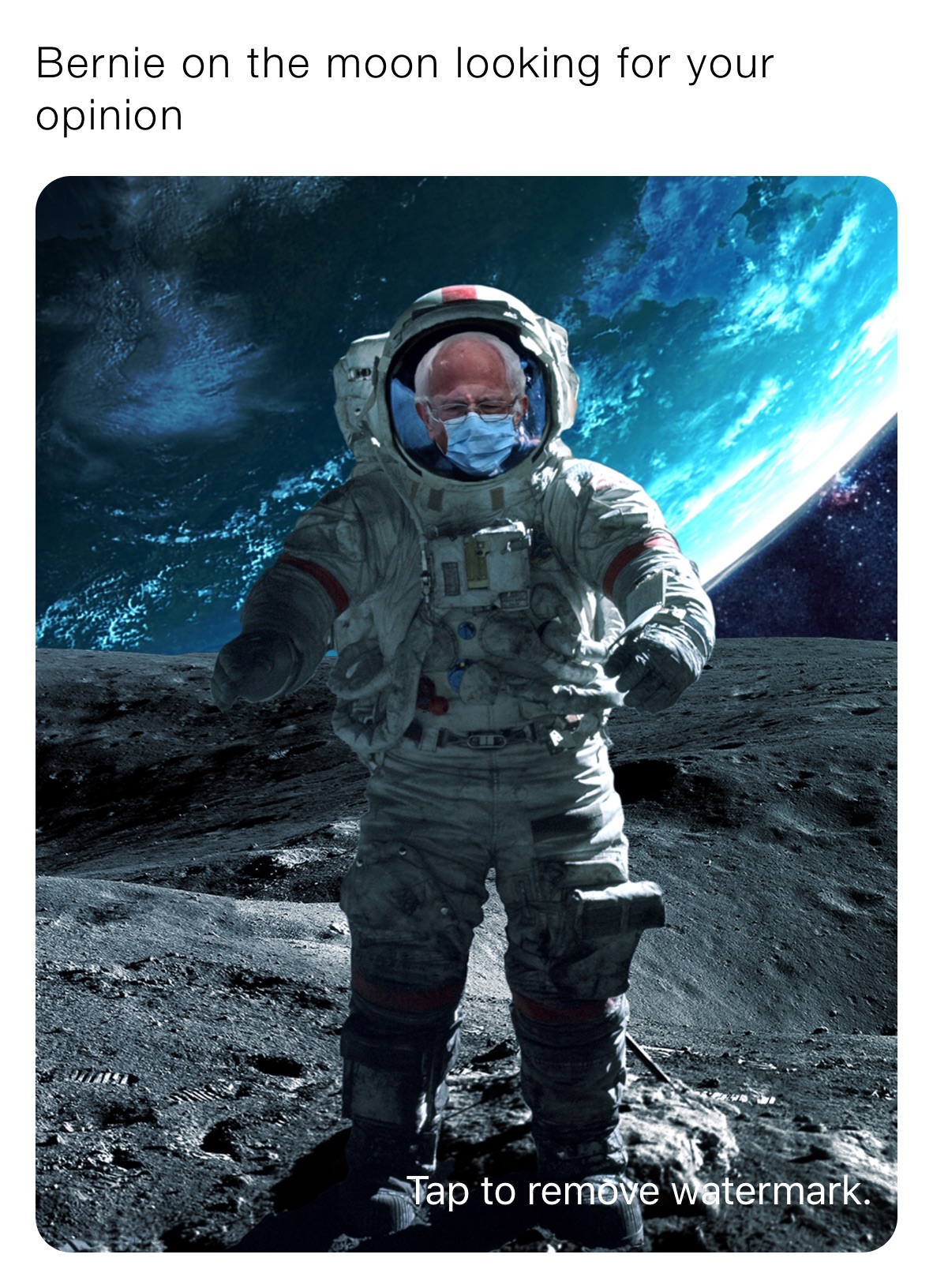 Bernie on the moon looking for your opinion