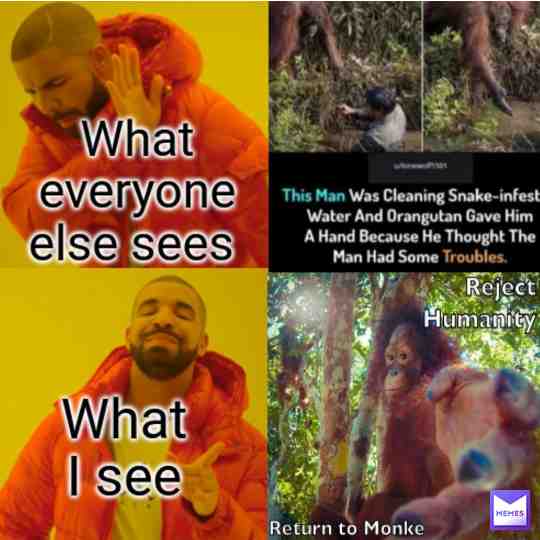 return to monke guys
