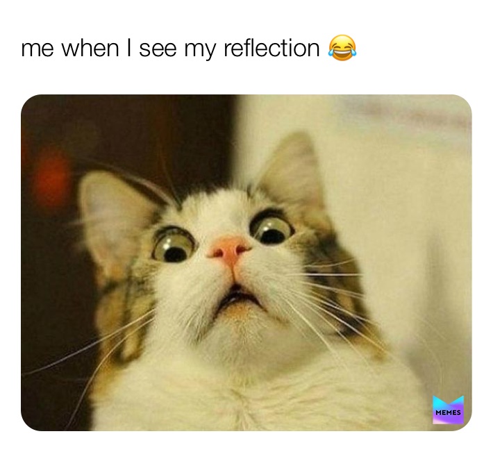 Meme by big_memes_best