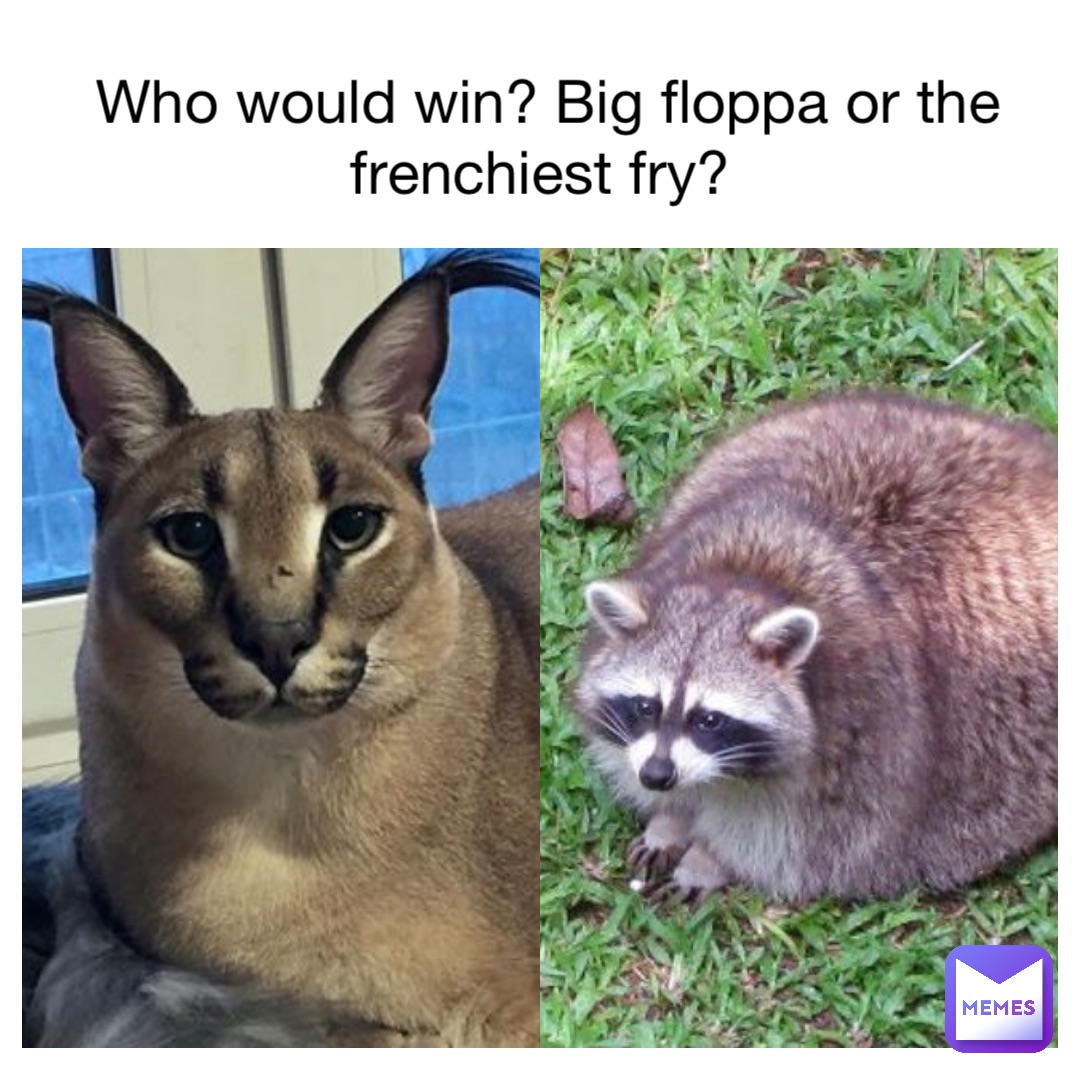 Who would win? Big floppa or the frenchiest fry?