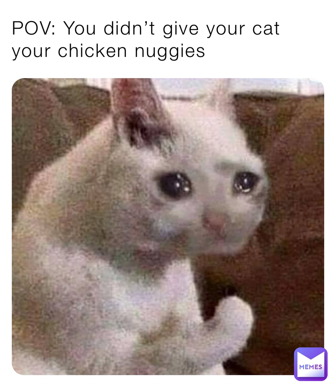 POV: You didn’t give your cat your chicken nuggies