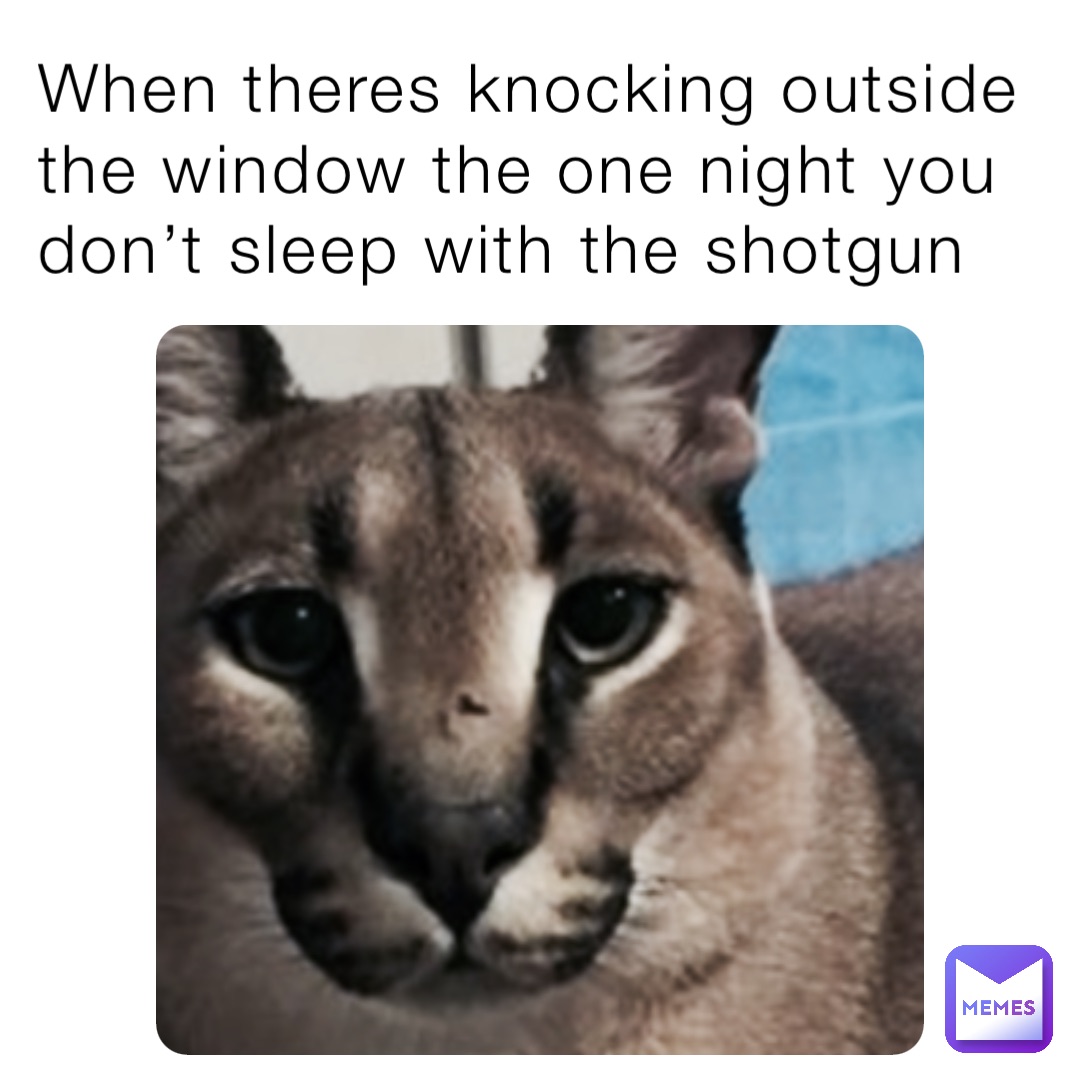 When theres knocking outside the window the one night you don’t sleep with the shotgun