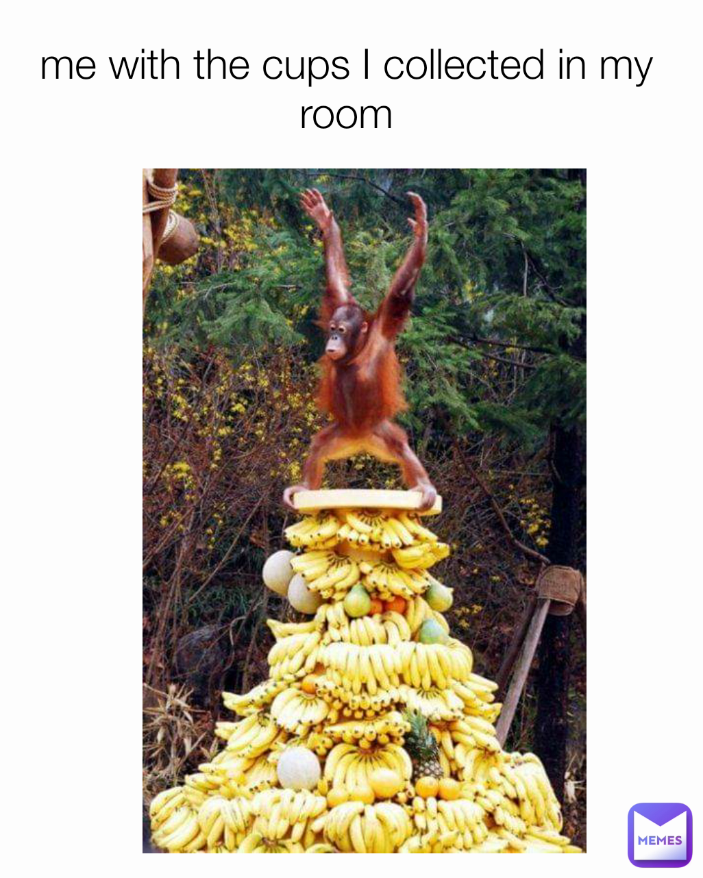 Meme by unfortunatelypeabutbutter