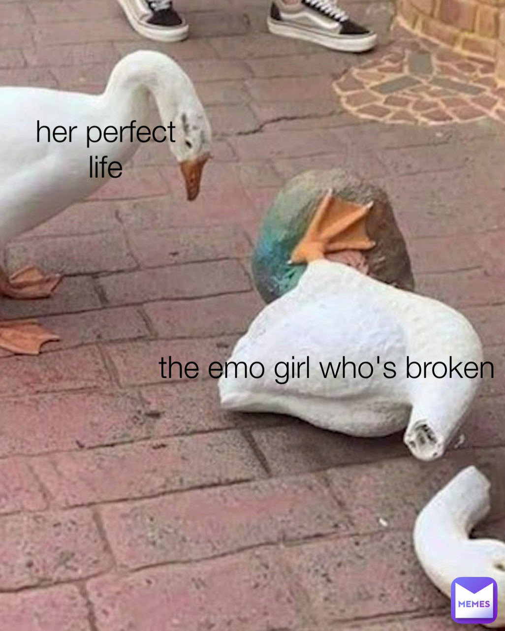 Meme by unfortunatelypeabutbutter