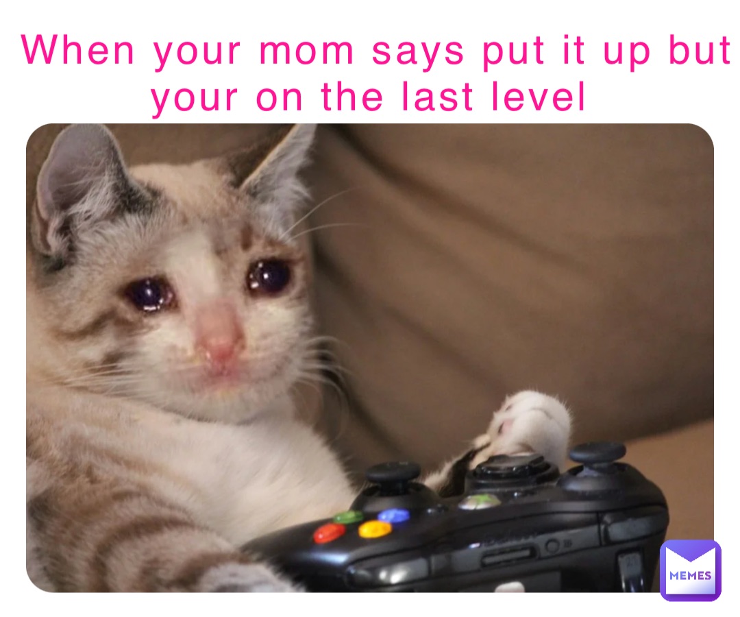 When your mom says put it up but your on the last level