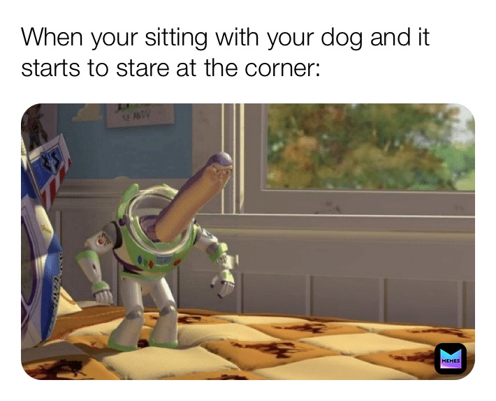 Meme by grantzimmerman061206