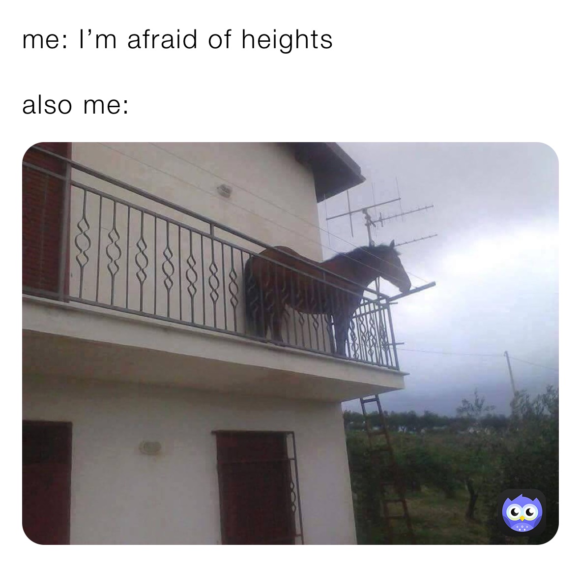 me: I’m afraid of heights 

also me: