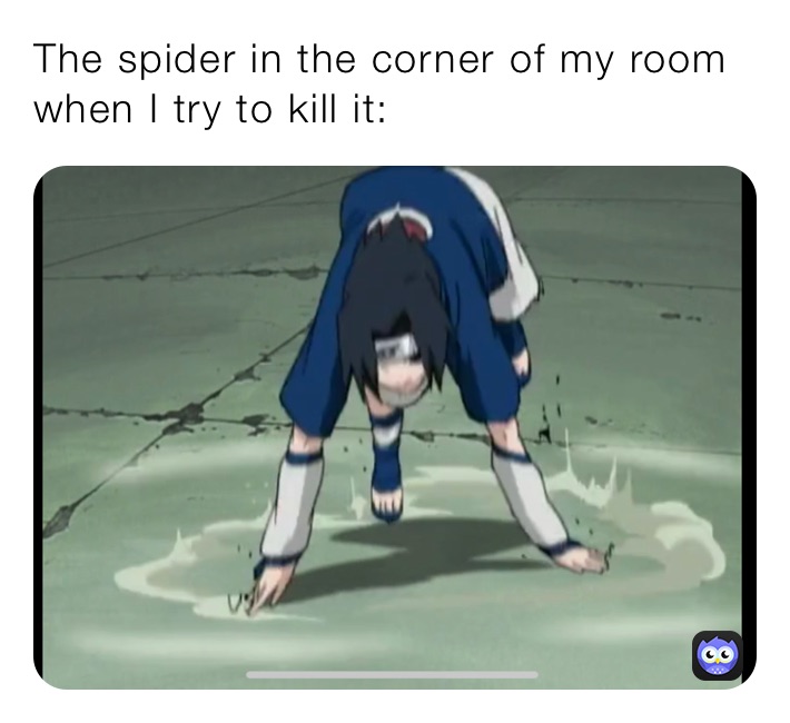 The spider in the corner of my room when I try to kill it: