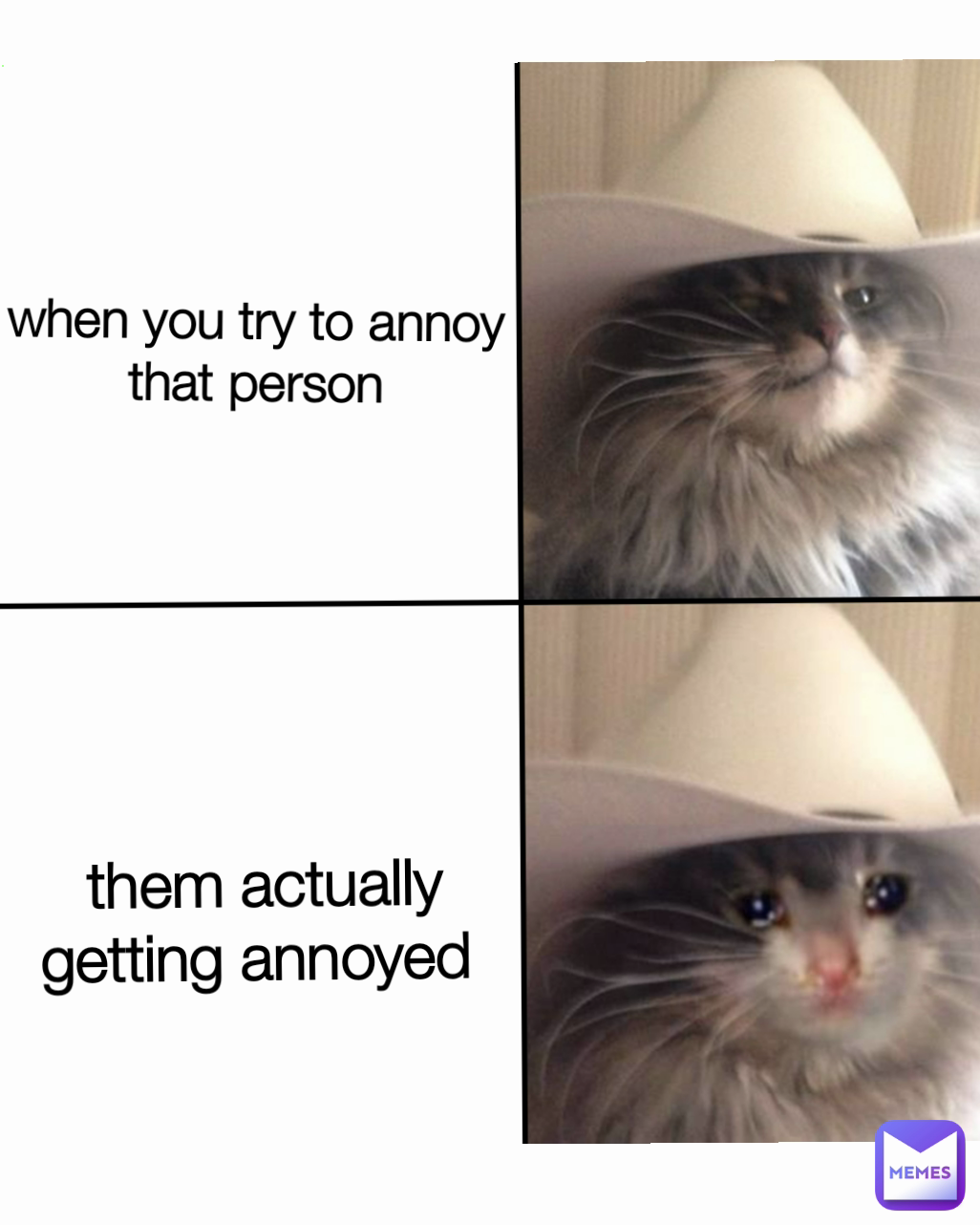 them actually getting annoyed  when you try to annoy that person