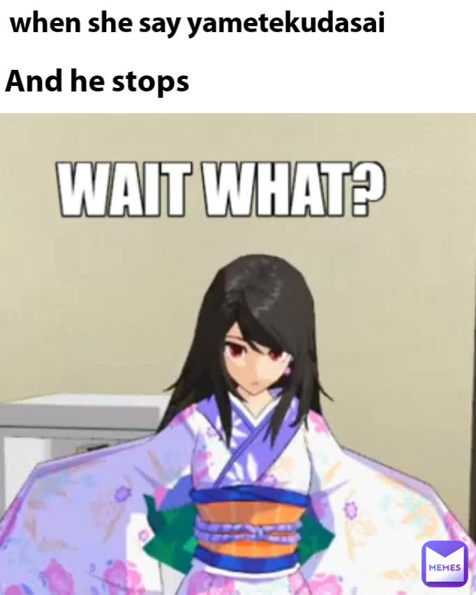 And he stops when she say yametekudasai kanwarsingh Memes