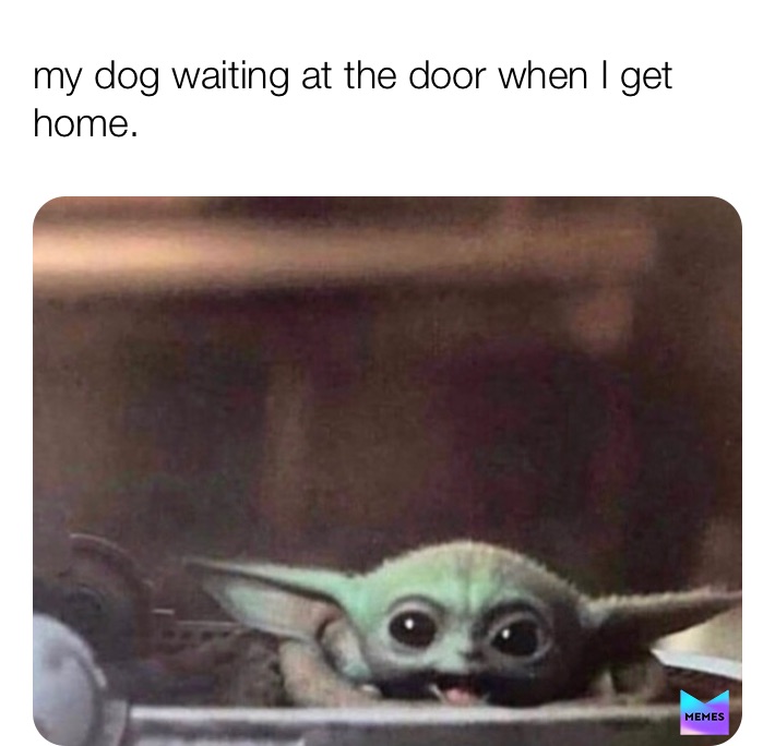 Meme by im_dead_memes