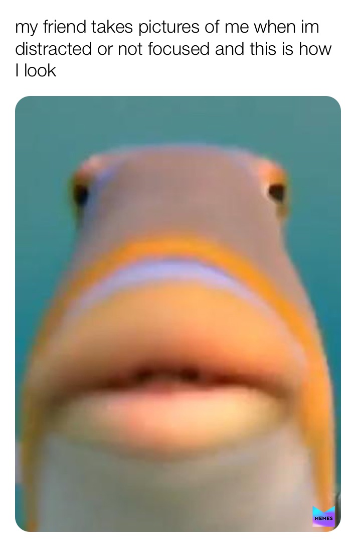 Meme by im_dead_memes