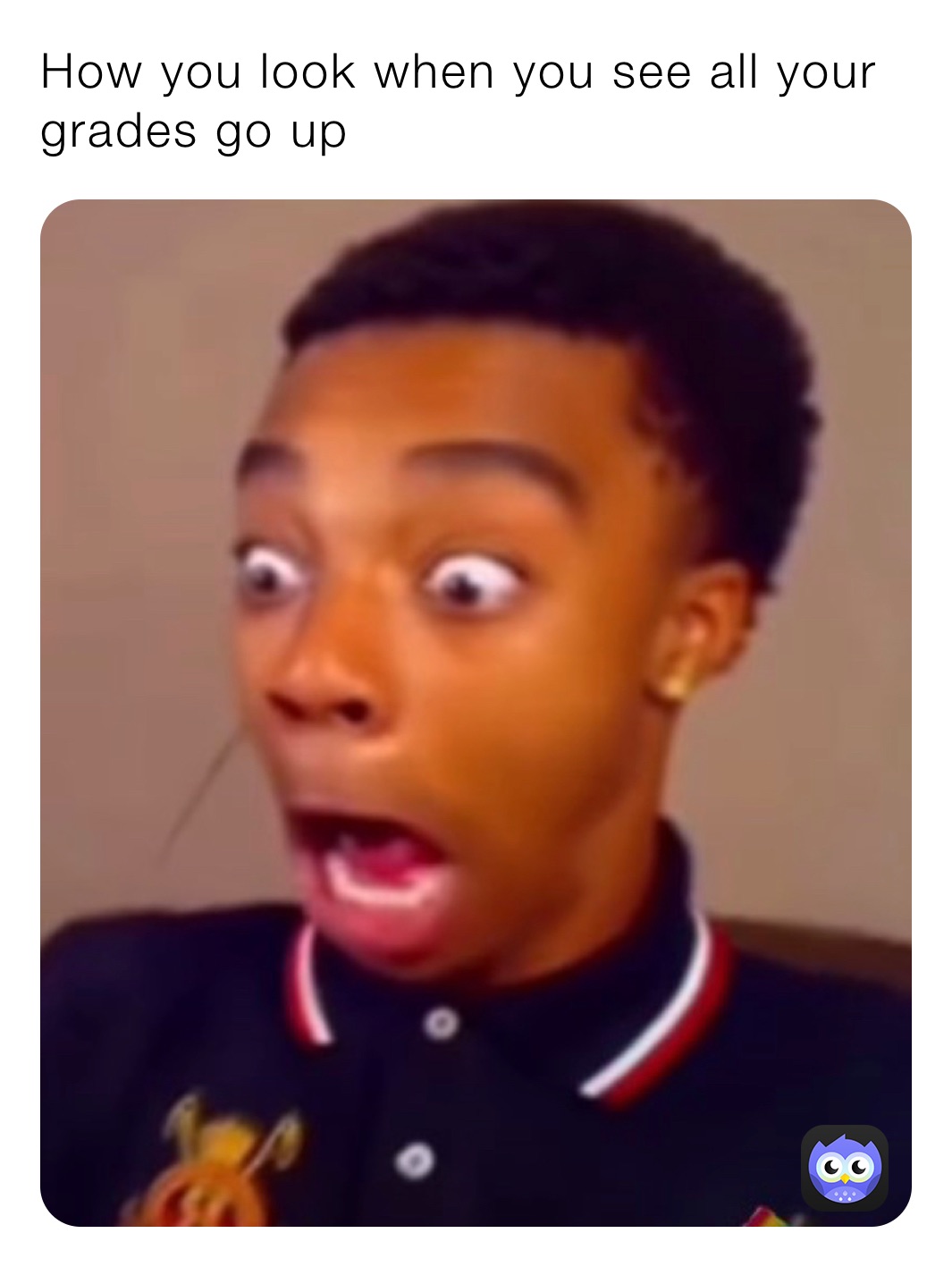 Meme by EliteDxvinYT