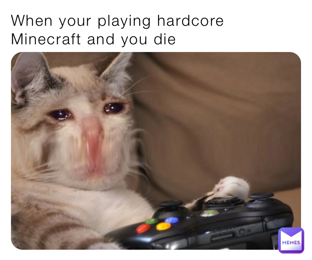 When your playing hardcore Minecraft and you die