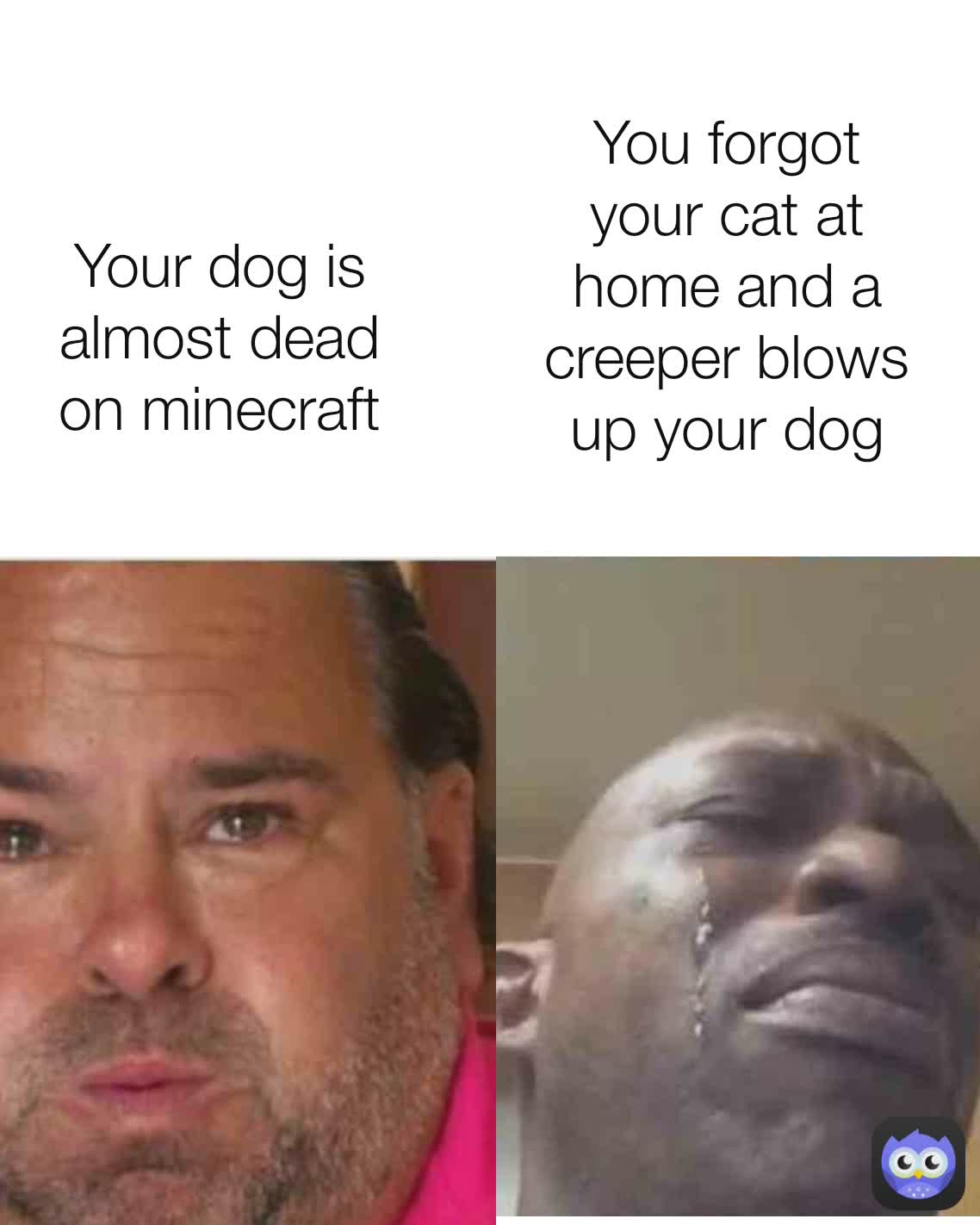 You forgot your cat at home and a creeper blows up your dog Your dog is almost dead on minecraft