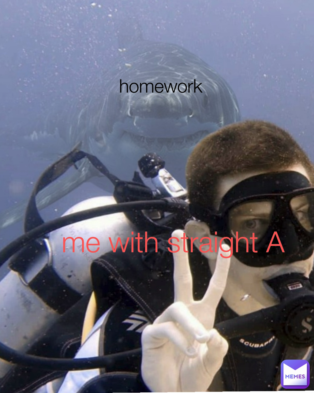 homework me with straight A