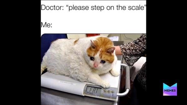 Meme by offensive_center