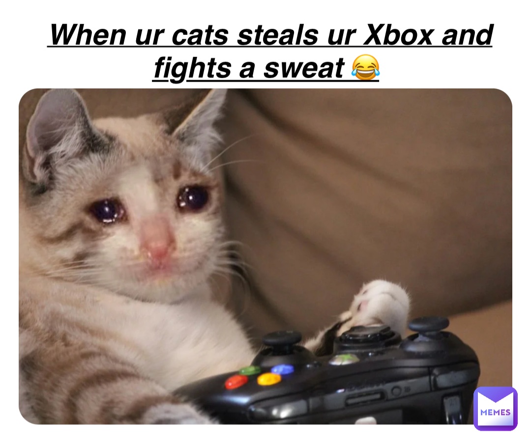 Double tap to edit When ur cats steals ur Xbox and fights a sweat 😂😂😂