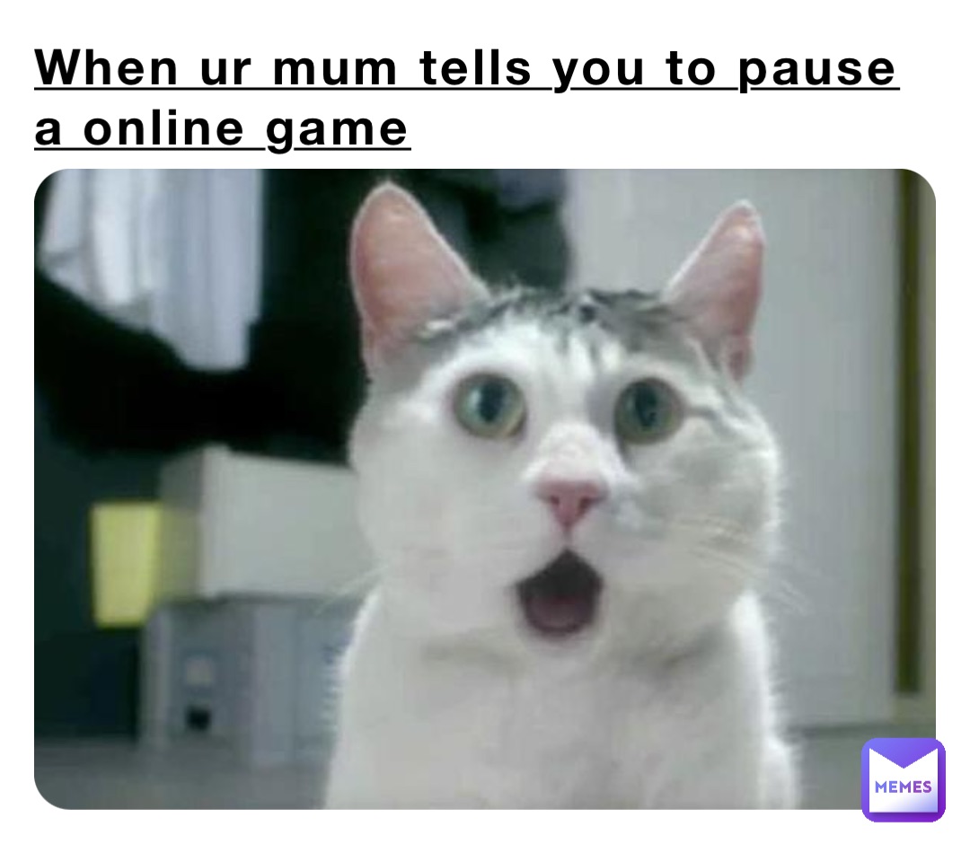 When ur mum tells you to pause a online game 😭