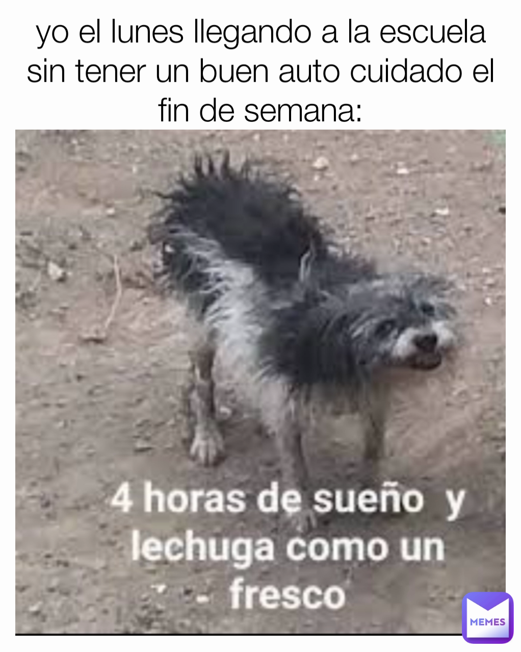 yo el lunes llegando a la escuela sin tener un buen auto cuidado el fin de semana: