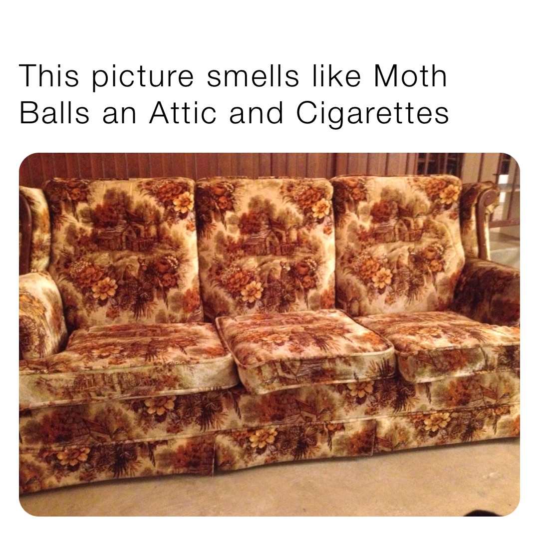 5-steps-to-remove-moth-balls-smells-from-clothes