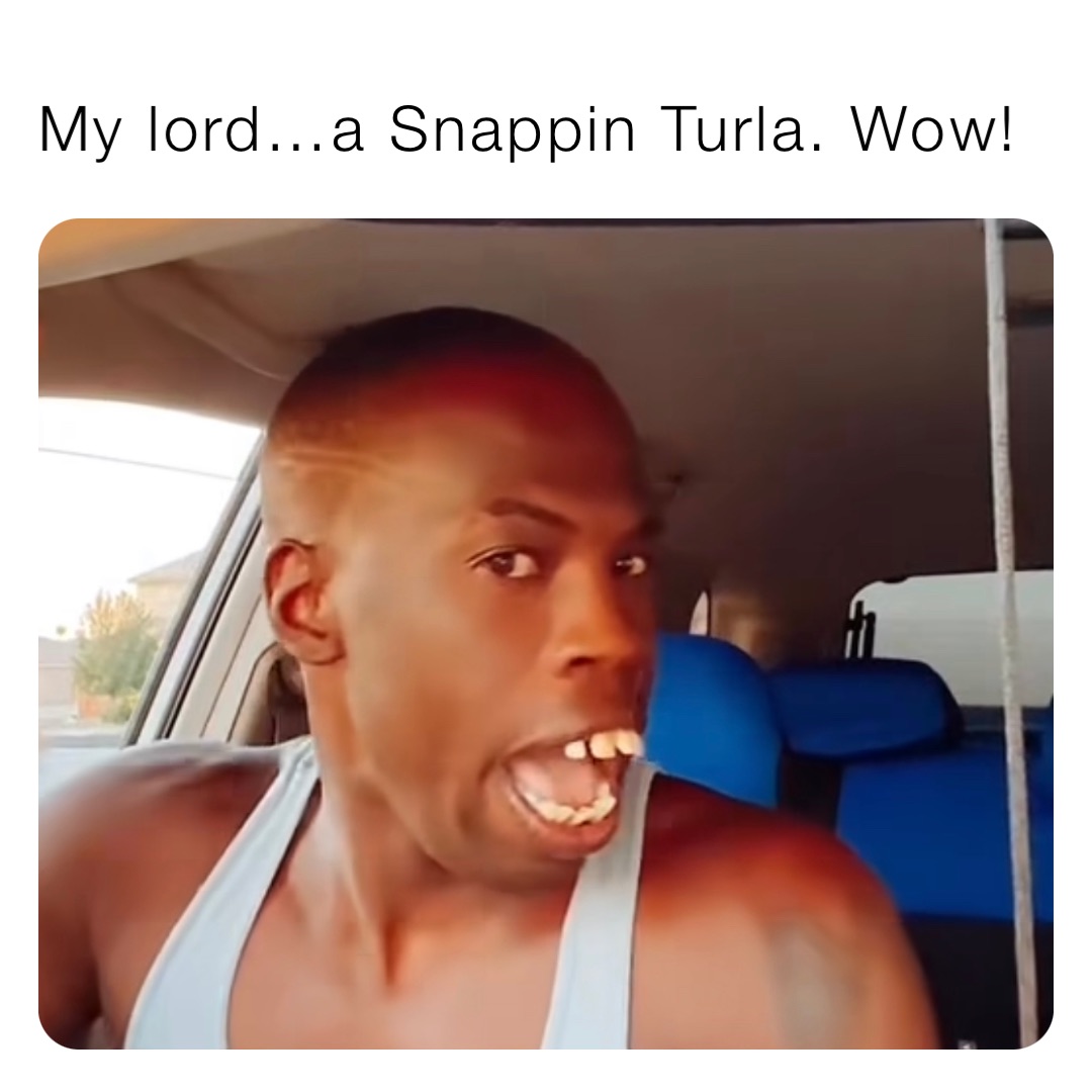 My lord…a Snappin Turla. Wow!