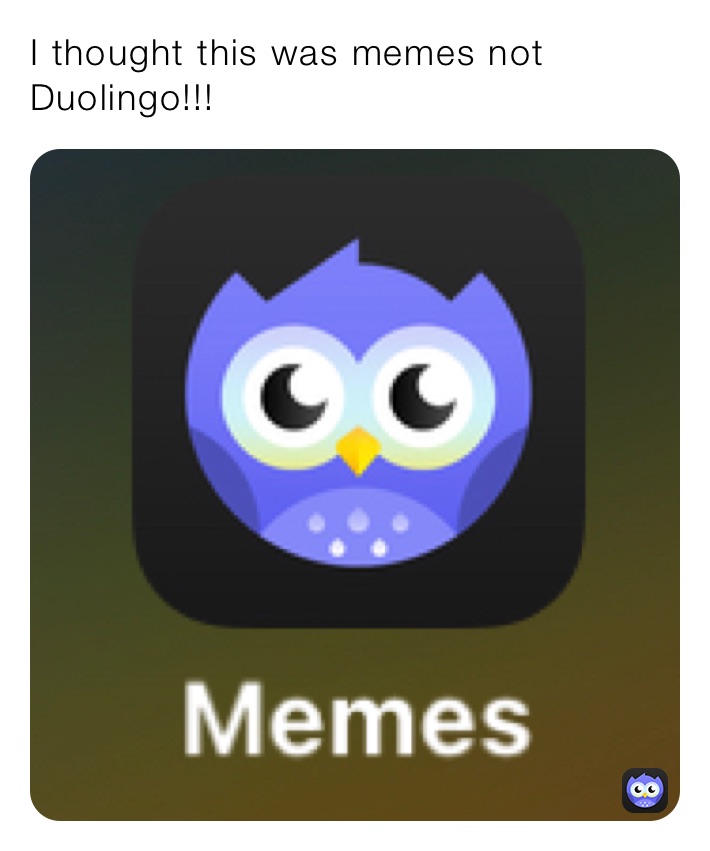 I thought this was memes not  Duolingo!!!