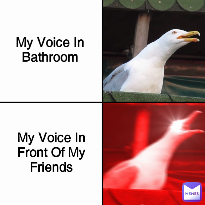 My Voice In Front Of My Friends My Voice In Bathroom