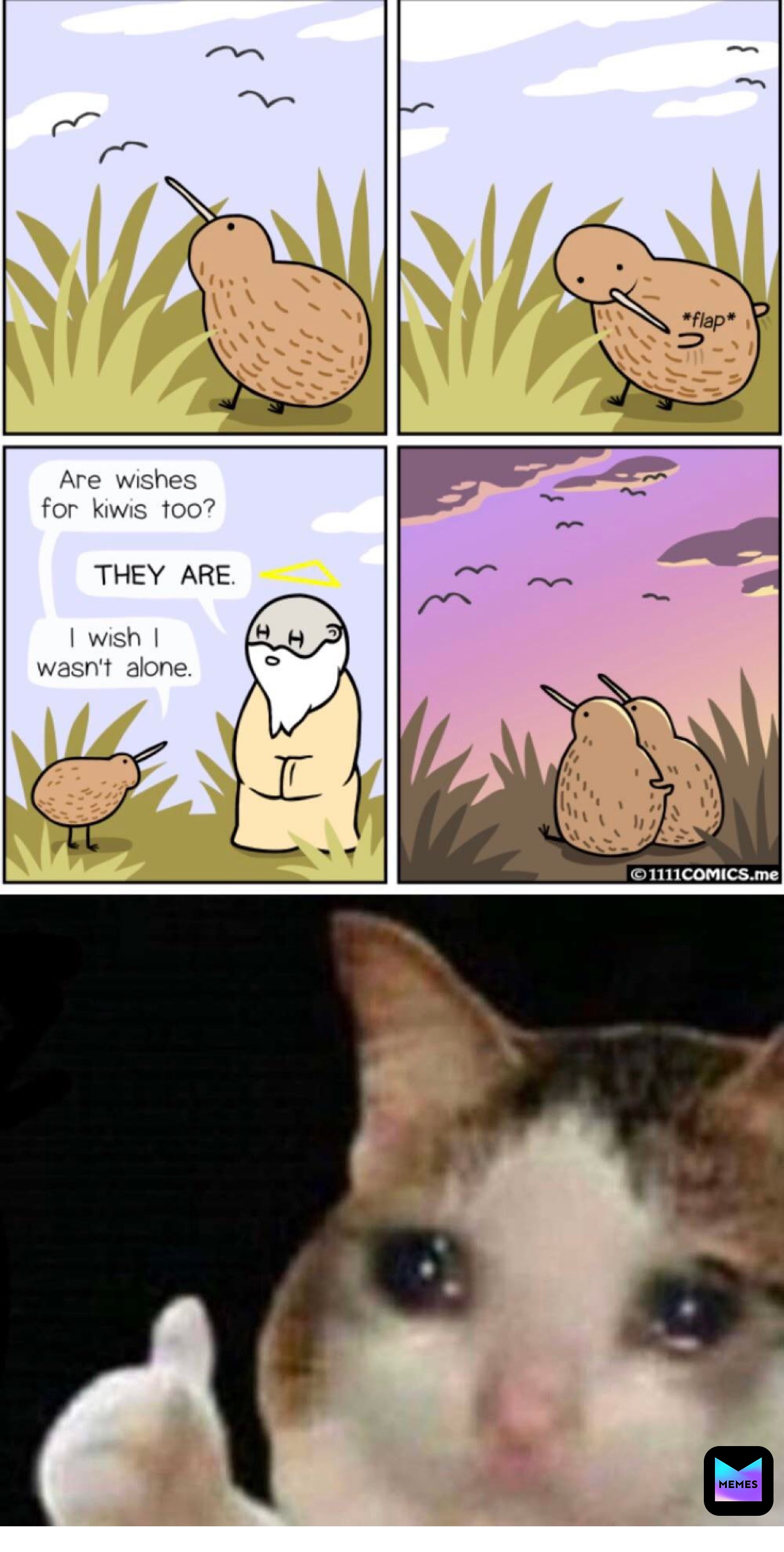 Meme by The_Meme_Boy_19