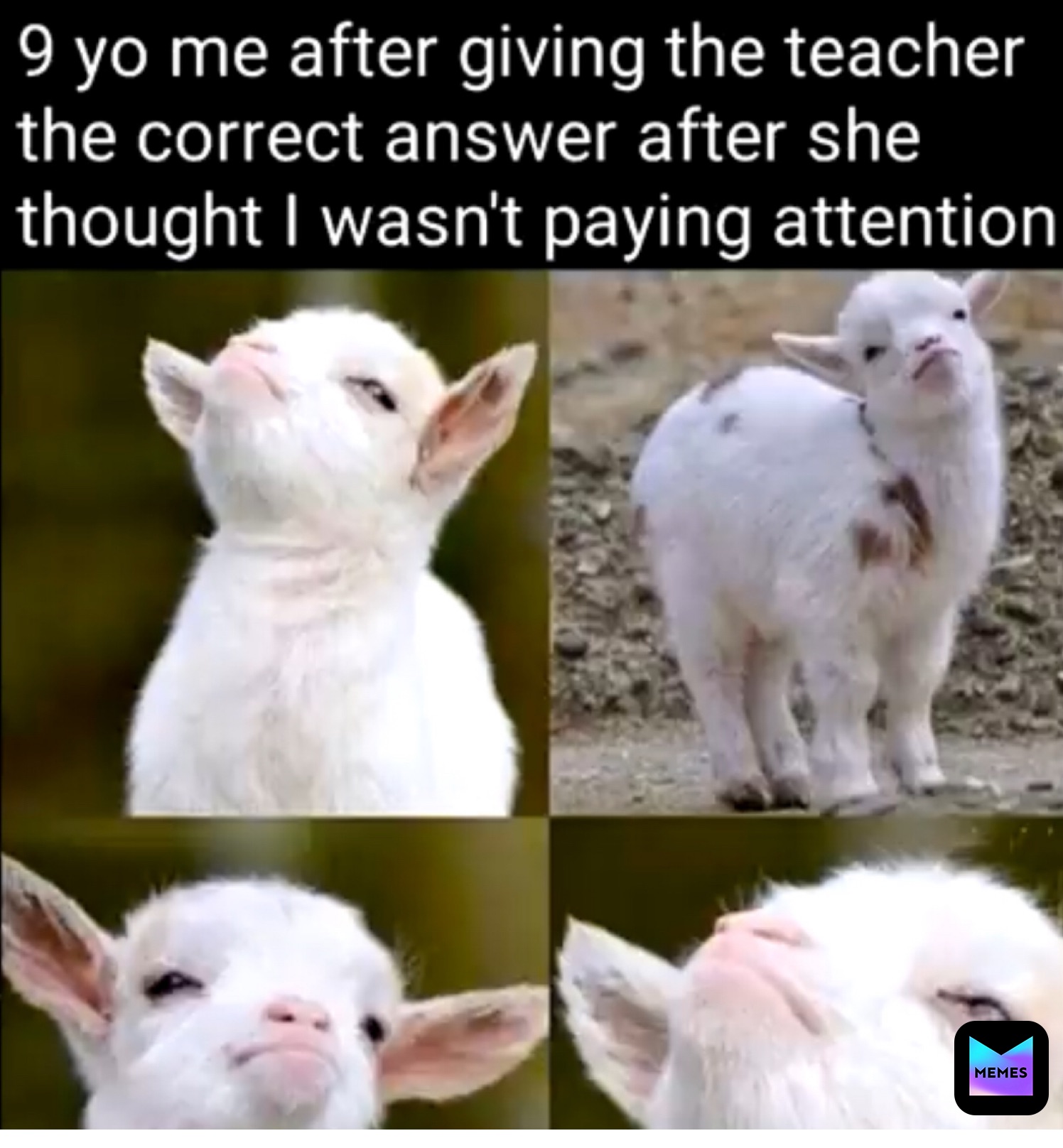 Meme by The_Meme_Boy_19